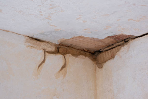 Best Water damage restoration near me  in Clinton, OH