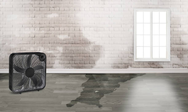 Best Water damage restoration near me  in Clinton, OH