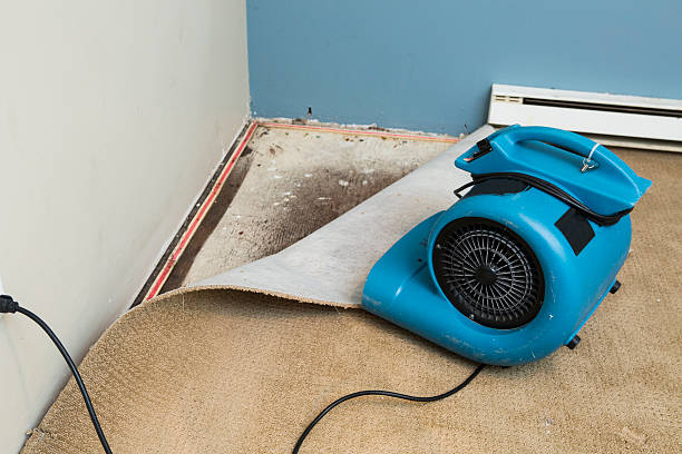 Best Fire Damage Restoration  in Clinton, OH